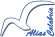 Pr Ali
